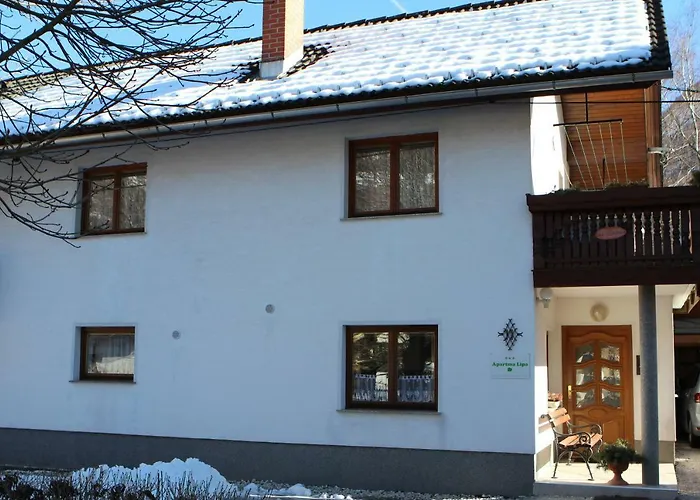 Apartma Lipa מויסטראנה